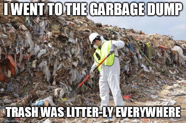 Friendship Trash | I WENT TO THE GARBAGE DUMP; TRASH WAS LITTER-LY EVERYWHERE | image tagged in friendship trash | made w/ Imgflip meme maker