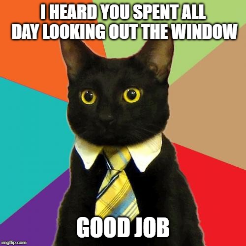 Business Cat | I HEARD YOU SPENT ALL DAY LOOKING OUT THE WINDOW; GOOD JOB | image tagged in memes,business cat | made w/ Imgflip meme maker