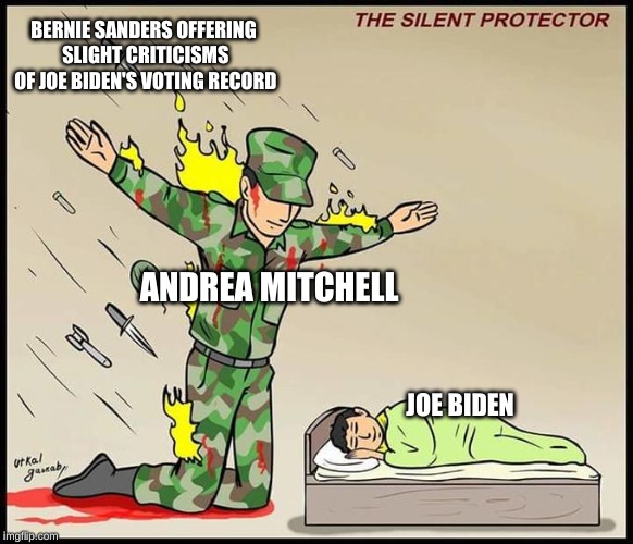 the silent protector | BERNIE SANDERS OFFERING SLIGHT CRITICISMS OF JOE BIDEN'S VOTING RECORD; ANDREA MITCHELL; JOE BIDEN | image tagged in the silent protector | made w/ Imgflip meme maker