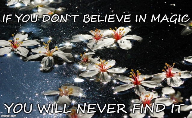 IF YOU DON`T BELIEVE IN MAGIC; YOU WILL NEVER FIND IT | made w/ Imgflip meme maker