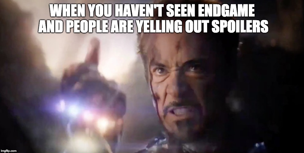 Endgame Spoilers | WHEN YOU HAVEN'T SEEN ENDGAME AND PEOPLE ARE YELLING OUT SPOILERS | image tagged in avengers endgame | made w/ Imgflip meme maker