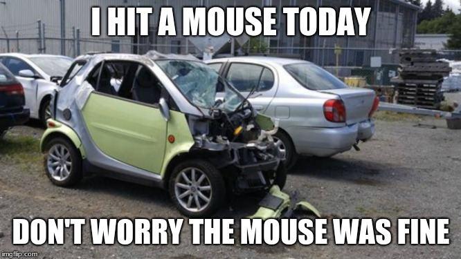 Smart Car | I HIT A MOUSE TODAY; DON'T WORRY THE MOUSE WAS FINE | image tagged in smart car,car crash | made w/ Imgflip meme maker