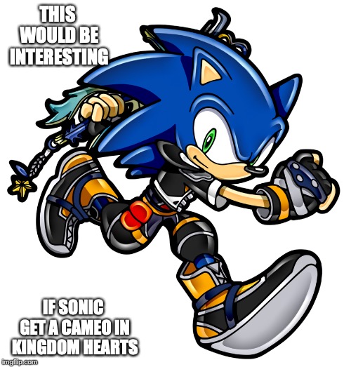 Sonic Cosplaying Sora | THIS WOULD BE INTERESTING; IF SONIC GET A CAMEO IN KINGDOM HEARTS | image tagged in sonic the hedgehog,sora,kingdom hearts,gaming,memes | made w/ Imgflip meme maker