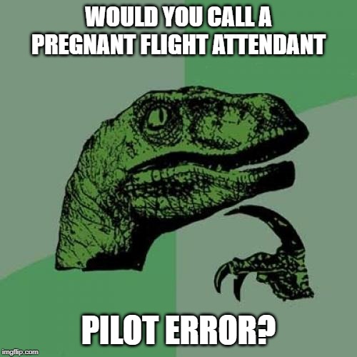Philosoraptor Meme | WOULD YOU CALL A PREGNANT FLIGHT ATTENDANT; PILOT ERROR? | image tagged in memes,philosoraptor | made w/ Imgflip meme maker