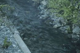 image tagged in gifs,rart | made w/ Imgflip images-to-gif maker