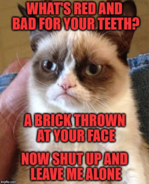 image tagged in funny,grumpy cat | made w/ Imgflip meme maker