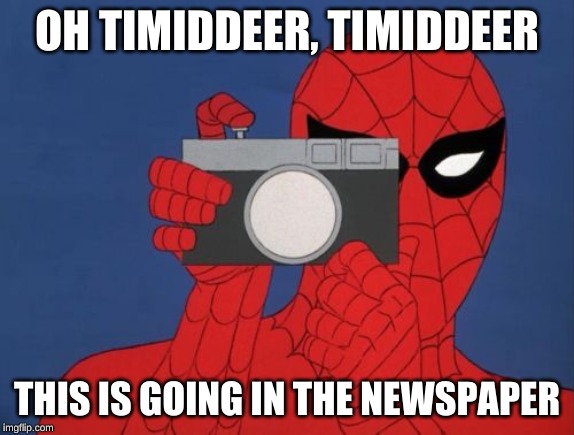 Spiderman Camera Meme | OH TIMIDDEER, TIMIDDEER THIS IS GOING IN THE NEWSPAPER | image tagged in memes,spiderman camera,spiderman | made w/ Imgflip meme maker