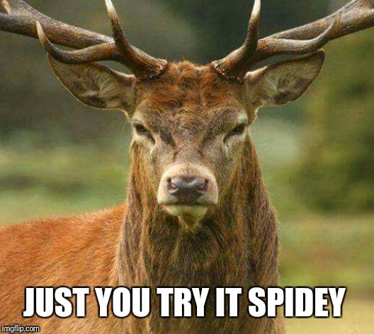 JUST YOU TRY IT SPIDEY | made w/ Imgflip meme maker