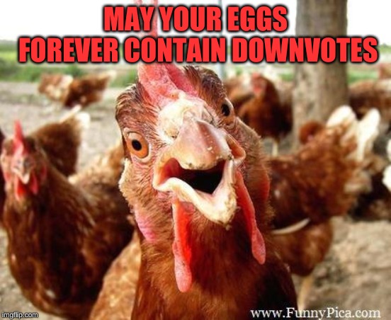 Chicken | MAY YOUR EGGS FOREVER CONTAIN DOWNVOTES | image tagged in chicken | made w/ Imgflip meme maker
