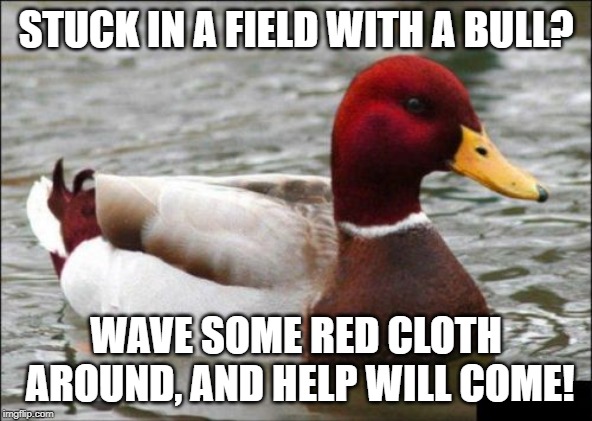 Malicious Advice Mallard Meme | STUCK IN A FIELD WITH A BULL? WAVE SOME RED CLOTH AROUND, AND HELP WILL COME! | image tagged in memes,malicious advice mallard | made w/ Imgflip meme maker
