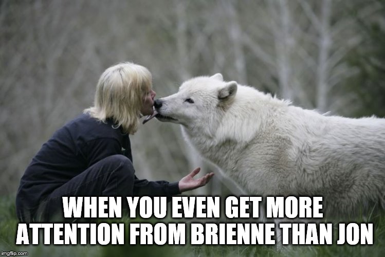 WHEN YOU EVEN GET MORE ATTENTION FROM BRIENNE THAN JON | image tagged in game of thrones | made w/ Imgflip meme maker