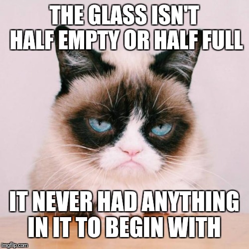 grumpy cat again | THE GLASS ISN'T HALF EMPTY OR HALF FULL IT NEVER HAD ANYTHING IN IT TO BEGIN WITH | image tagged in grumpy cat again | made w/ Imgflip meme maker