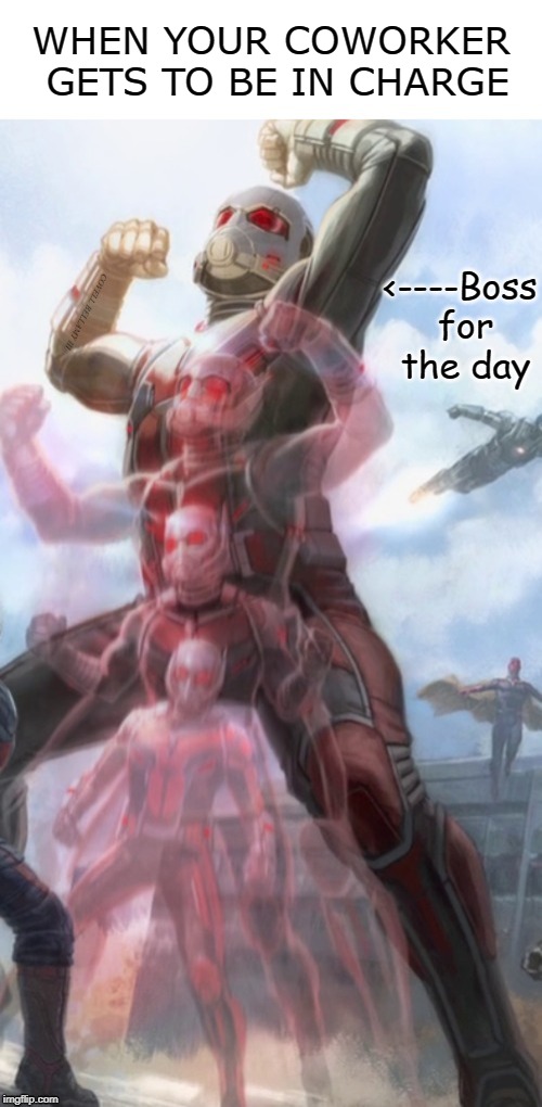 Ant Man Coworker Being In Charge | WHEN YOUR COWORKER GETS TO BE IN CHARGE; <----Boss for the day | image tagged in ant man coworker being in charge | made w/ Imgflip meme maker