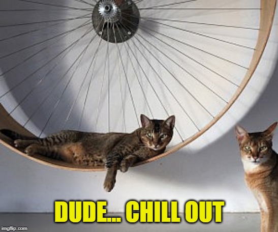 DUDE... CHILL OUT | made w/ Imgflip meme maker