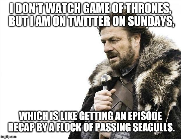 Brace Yourselves X is Coming Meme | I DON'T WATCH GAME OF THRONES, BUT I AM ON TWITTER ON SUNDAYS, WHICH IS LIKE GETTING AN EPISODE RECAP BY A FLOCK OF PASSING SEAGULLS. | image tagged in memes,brace yourselves x is coming | made w/ Imgflip meme maker