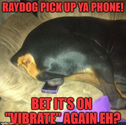 RAYDOG PICK UP YA PHONE! BET IT'S ON "VIBRATE" AGAIN EH? | made w/ Imgflip meme maker