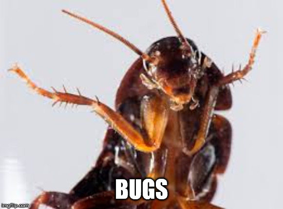 Insector | BUGS | image tagged in insector | made w/ Imgflip meme maker