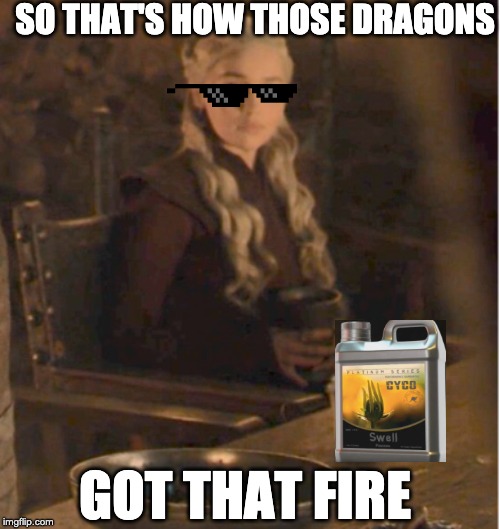 mother of swell | SO THAT'S HOW THOSE DRAGONS; GOT THAT FIRE | image tagged in game of thrones,dragons | made w/ Imgflip meme maker