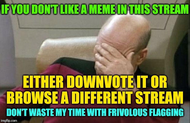 "Please flag responsibly" | IF YOU DON'T LIKE A MEME IN THIS STREAM; EITHER DOWNVOTE IT OR BROWSE A DIFFERENT STREAM; DON'T WASTE MY TIME WITH FRIVOLOUS FLAGGING | image tagged in memes,captain picard facepalm,downvote,or move along | made w/ Imgflip meme maker