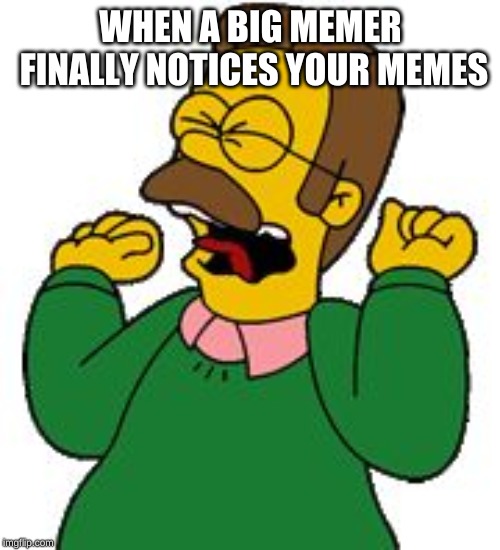 WHEN A BIG MEMER FINALLY NOTICES YOUR MEMES | image tagged in flabders squeal | made w/ Imgflip meme maker