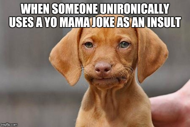 Dissapointed puppy | WHEN SOMEONE UNIRONICALLY USES A YO MAMA JOKE AS AN INSULT | image tagged in dissapointed puppy,yo mama,weakness disgusts me | made w/ Imgflip meme maker