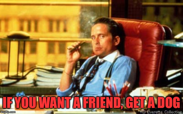 Gordon Gecko | IF YOU WANT A FRIEND, GET A DOG | image tagged in gordon gecko | made w/ Imgflip meme maker