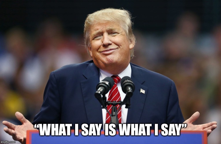 Trump Shrug | “WHAT I SAY IS WHAT I SAY” | image tagged in trump shrug | made w/ Imgflip meme maker