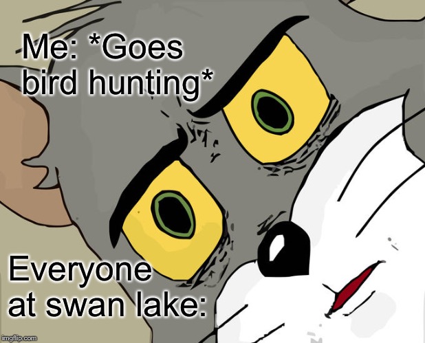 Unsettled Tom | Me: *Goes bird hunting*; Everyone at swan lake: | image tagged in memes,unsettled tom | made w/ Imgflip meme maker