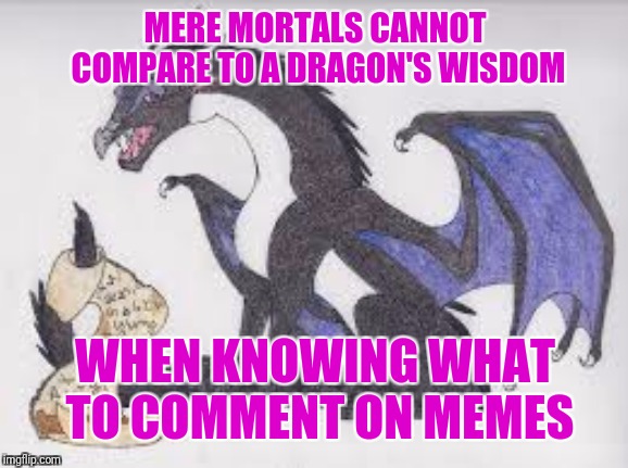 starflight's logic | MERE MORTALS CANNOT COMPARE TO A DRAGON'S WISDOM WHEN KNOWING WHAT TO COMMENT ON MEMES | image tagged in starflight's logic | made w/ Imgflip meme maker