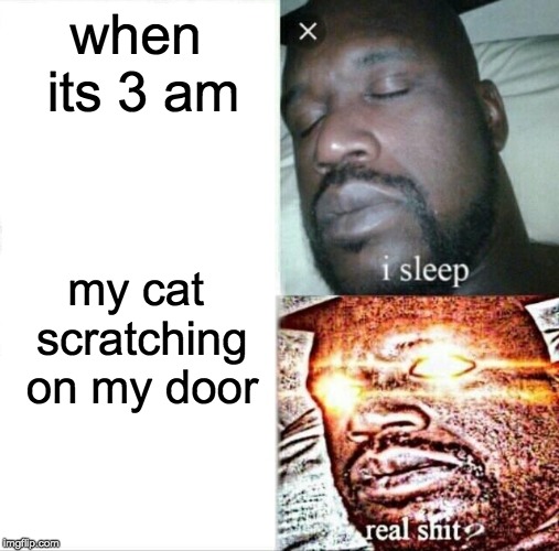 Sleeping Shaq Meme | when its 3 am; my cat scratching on my door | image tagged in memes,sleeping shaq | made w/ Imgflip meme maker