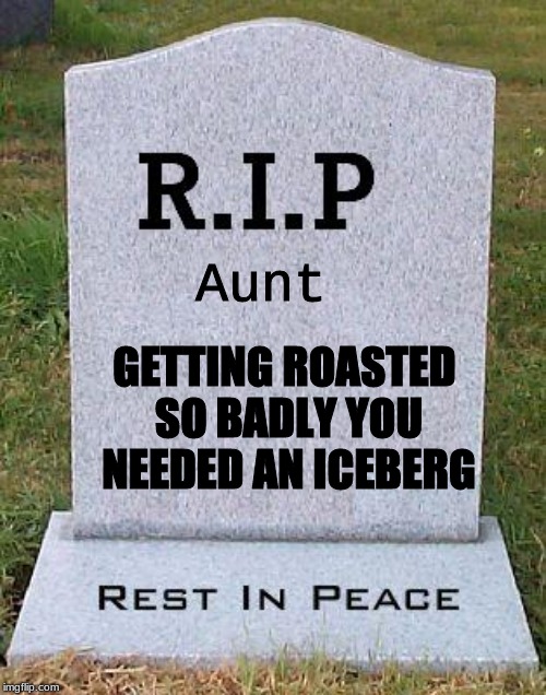 RIP headstone | Aunt GETTING ROASTED SO BADLY YOU NEEDED AN ICEBERG | image tagged in rip headstone | made w/ Imgflip meme maker