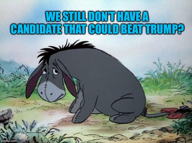 eeyore | WE STILL DON’T HAVE A CANDIDATE THAT COULD BEAT TRUMP? | image tagged in eeyore | made w/ Imgflip meme maker