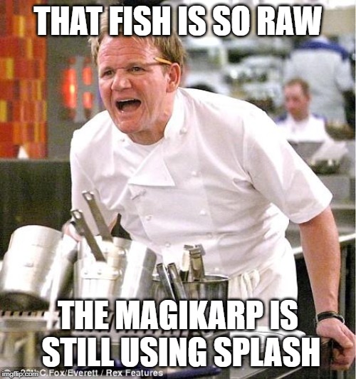 Chef Gordon Ramsay | THAT FISH IS SO RAW; THE MAGIKARP IS STILL USING SPLASH | image tagged in memes,chef gordon ramsay | made w/ Imgflip meme maker