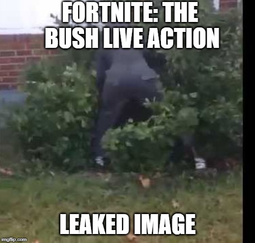 fortnit bush | FORTNITE: THE BUSH LIVE ACTION; LEAKED IMAGE | image tagged in fortnit bush | made w/ Imgflip meme maker