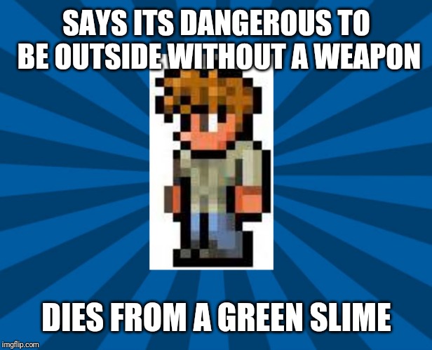 Terraria Guide | SAYS ITS DANGEROUS TO BE OUTSIDE WITHOUT A WEAPON; DIES FROM A GREEN SLIME | image tagged in terraria guide | made w/ Imgflip meme maker