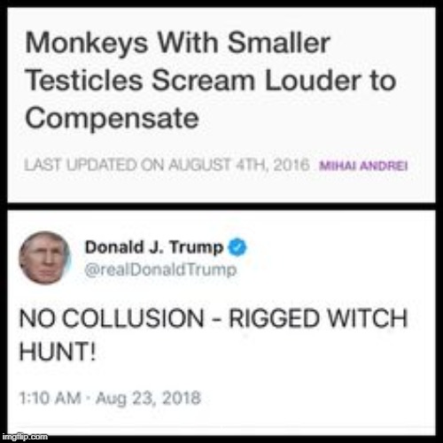 . | image tagged in trump,monkey,small | made w/ Imgflip meme maker
