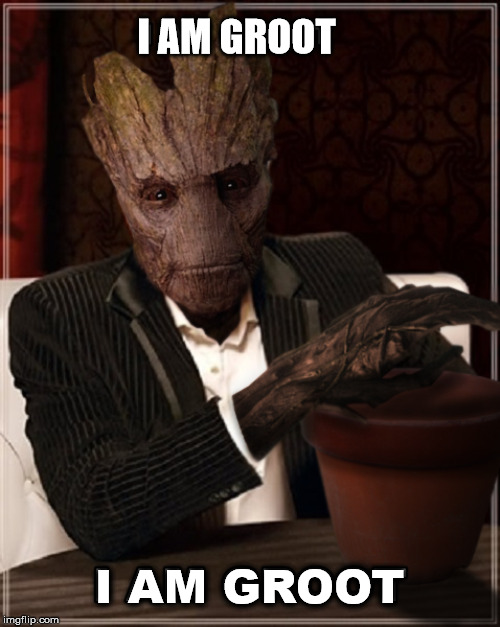 I am Groot | I AM GROOT; I AM GROOT | image tagged in groot,i am groot,guardians of the galaxy | made w/ Imgflip meme maker
