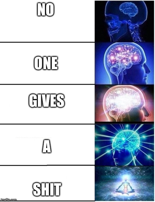 Expanding Brain 5 Panel | NO SHIT ONE GIVES A | image tagged in expanding brain 5 panel | made w/ Imgflip meme maker