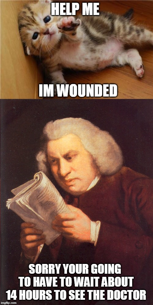 HELP ME; IM WOUNDED; SORRY YOUR GOING TO HAVE TO WAIT ABOUT 14 HOURS TO SEE THE DOCTOR | image tagged in help me kitten,wait what | made w/ Imgflip meme maker
