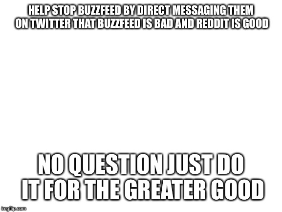 Blank White Template | HELP STOP BUZZFEED BY DIRECT MESSAGING THEM ON TWITTER THAT BUZZFEED IS BAD AND REDDIT IS GOOD; NO QUESTION JUST DO IT FOR THE GREATER GOOD | image tagged in blank white template | made w/ Imgflip meme maker