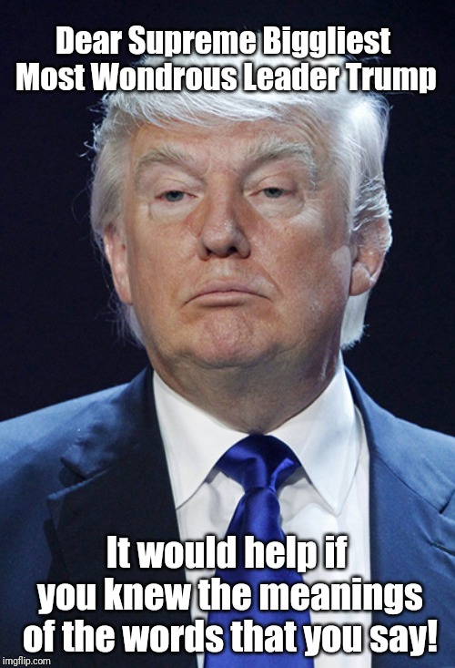 Donald Trump | Dear Supreme Biggliest Most Wondrous Leader Trump; It would help if you knew the meanings of the words that you say! | image tagged in donald trump | made w/ Imgflip meme maker