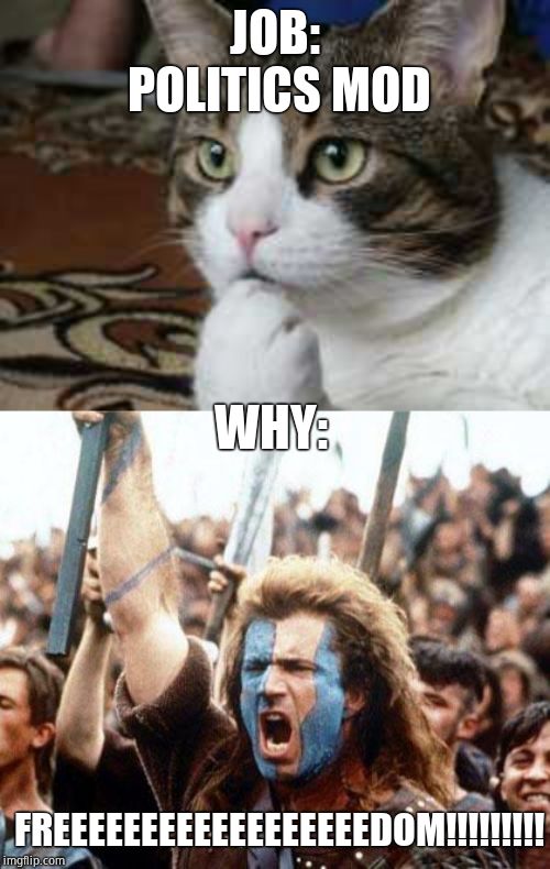 JOB: POLITICS MOD WHY: FREEEEEEEEEEEEEEEEEEDOM!!!!!!!!! | image tagged in braveheart freedom,ponder cat | made w/ Imgflip meme maker