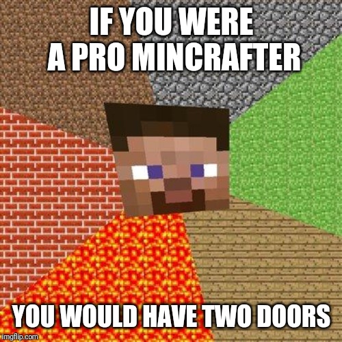IF YOU WERE A PRO MINCRAFTER YOU WOULD HAVE TWO DOORS | image tagged in minecraft steve | made w/ Imgflip meme maker