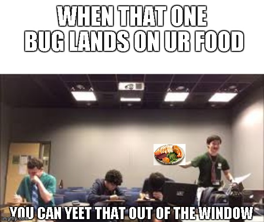 You can yeet that out of the window | WHEN THAT ONE BUG LANDS ON UR FOOD; YOU CAN YEET THAT OUT OF THE WINDOW | image tagged in you can yeet that out of the window | made w/ Imgflip meme maker