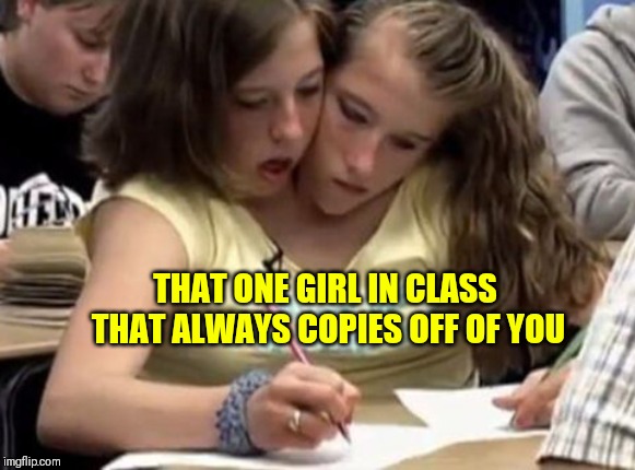 Conjoined Hensel twins | THAT ONE GIRL IN CLASS THAT ALWAYS COPIES OFF OF YOU | image tagged in conjoined hensel twins | made w/ Imgflip meme maker