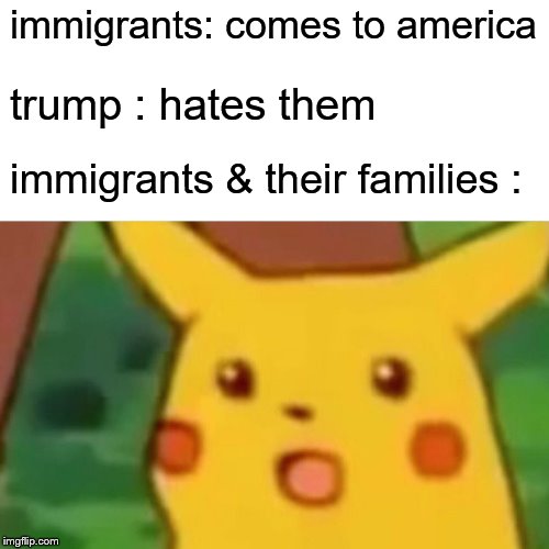 Surprised Pikachu Meme | immigrants: comes to america; trump : hates them; immigrants & their families : | image tagged in memes,surprised pikachu | made w/ Imgflip meme maker