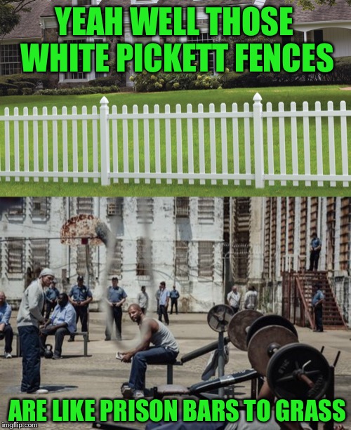 YEAH WELL THOSE WHITE PICKETT FENCES ARE LIKE PRISON BARS TO GRASS | made w/ Imgflip meme maker