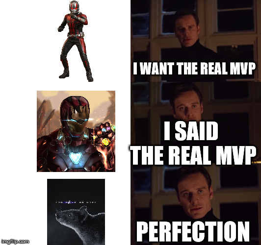 perfection-imgflip