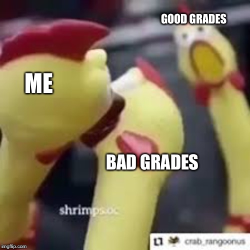 More chickens and bad grades(but with actual bad grades) | GOOD GRADES; ME; BAD GRADES | image tagged in rubber chickens | made w/ Imgflip meme maker