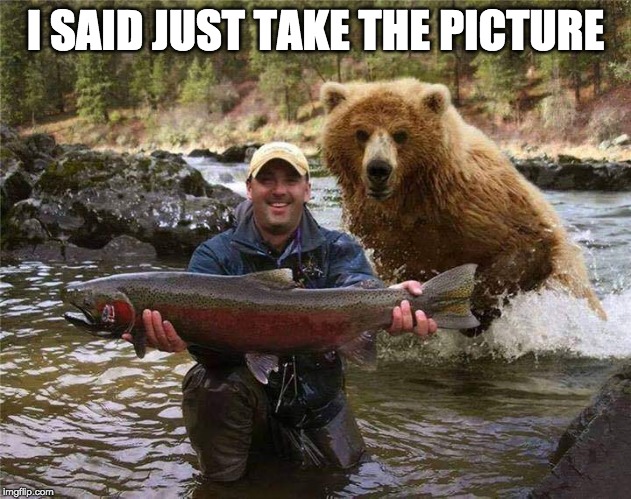 Photo Bombing Bear | I SAID JUST TAKE THE PICTURE | image tagged in fish,bear,sure death | made w/ Imgflip meme maker